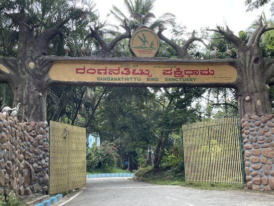 Ranganathittu Bird Sanctuary