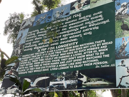 Ein Tip für Langlebigkeit
Die Leute sagen, dass man von der Vogelbeobachtung nicht leben kann. Das stimmt vielleicht, aber es stimmt auch, dass der Mensch nicht nur vom Brot lebt. Schauen Sie sich nur die Menschen an, die keine solchen Hobbies haben und ihre ganze Zeit nur damit verbringen, ihren Lebensunterhalt zu verdienen. Nach 60, wenn sie sich vom Amtssitz zurückziehen, wissen sie nicht, was sie mit der ganzen Zeit anfangen sollen, und verbringen sie nur damit, auf die Uhr zu schauen. Wenn sie ein Hobby wie die Vogelbeobachtung gepflegt hätten, hätten sie vielleicht länger gelebt, um ihre Rente zu genießen.