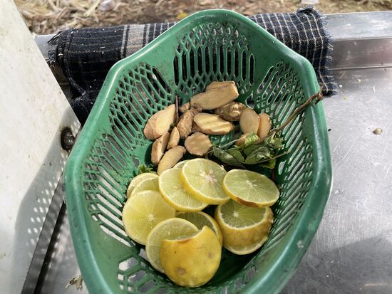Alles da für ieinen feinen Zuckerrohsaft: Zitronen, Ingwer und Pfefferminze