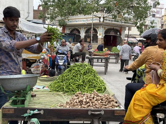 grüner Chilli scheint grad Saison zu haben, er wird überall im Überfluss angeboten
