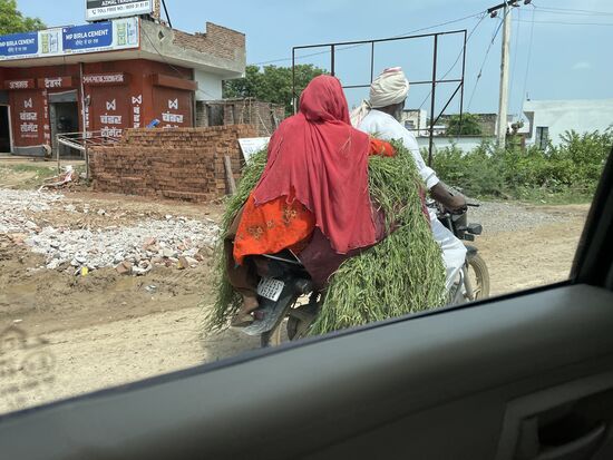Gras für die Kühe wird eingebracht. Das Motorrad ist auch ein Grastransporter.