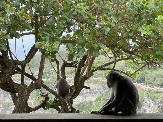 Sie machen so einen friedlichen Eindruck...