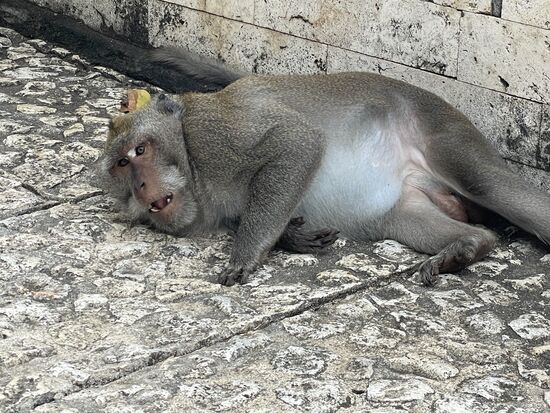 Er hatte wohl etwas dagegen, dass ich ihn fotografiert hatte.