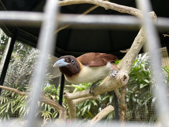 ziemlich neugieriger Kerl