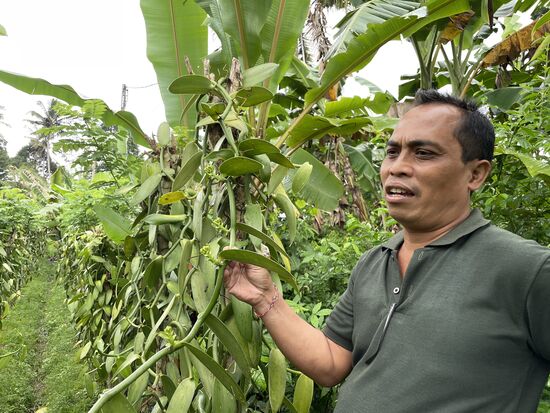 Adi zeigt mir die vielen Blütenknospen an einem einzigen Ast