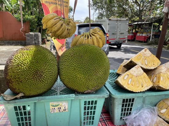 Jack-Fruit