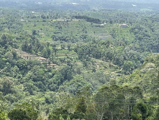 Die Reisterrassen sind etwas tiefer.