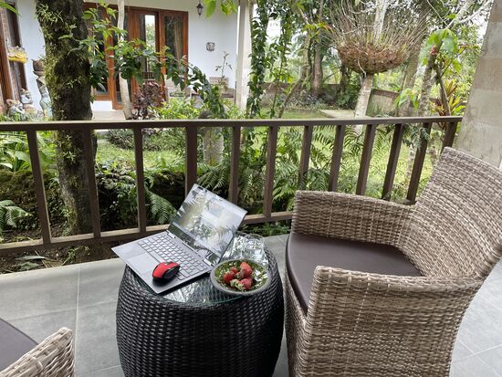 Mein Schreibplatz - und Erdbeeren als Snack