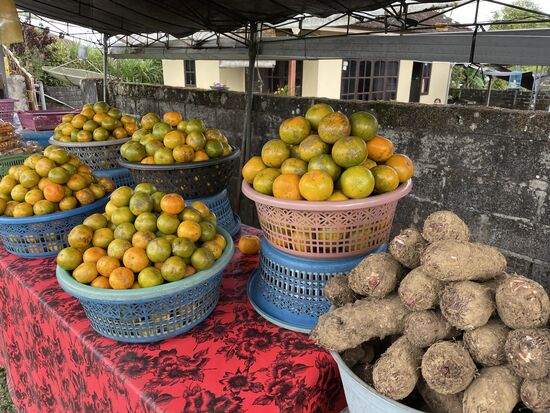 links: Ketela pohon - ich kenne es aus Peru als Yucca, anderswo nennt man es Maniok.