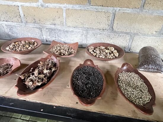 verschiedene Produkte, die hier angepflanzt und verkauft werden, wie Ingwer, Galgant, Pfeffer, Kardamon und natürlich Luwak-Kaffee und ganz normaler Kaffee.