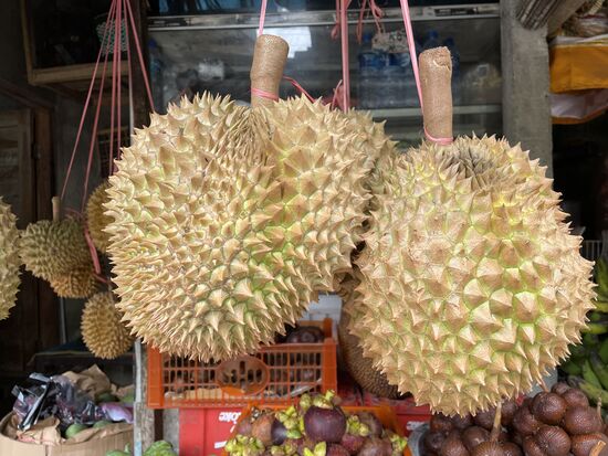 Durian - die Königin der Früchte - oder auch Stinkfrucht genannt