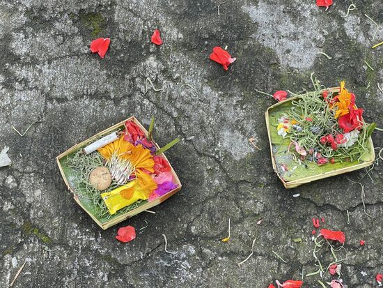Auch hier wie überall auf Bali: Opfergaben bei der kleinen Götterstatue zwischen den Kaffeepflanzen und überall auf den Wegen.