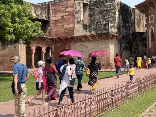 noch mehr Schirme... kann ja nicht schaden, etwas auf Vorrat zu haben...