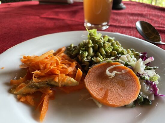 Mittagessen - Vorspeise