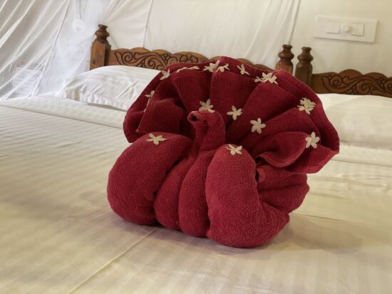 der Pfau in meinem Bett