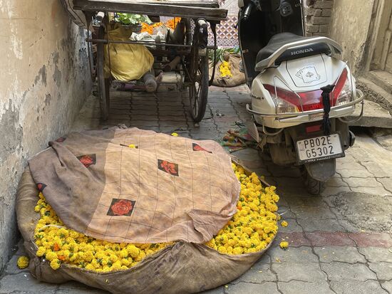 Da werden Vorbereitungen für ein Fest getroffen