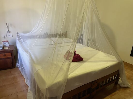 Immr wieder finde ich Tiere in meinem Bett