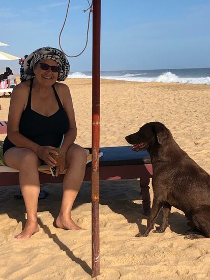 Auch der Hund bettelt um etwas Aufmerksamkeit