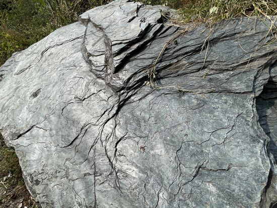 Eindeutig Schiefer - erinnert mich ans Glarnerland