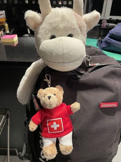 Den kleinen Gusti hat mir meine Tante Hedi zum Abschied geschenkt. Mal sehen wie er sich mit Clara verstehen wird.