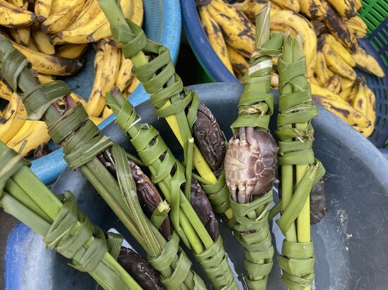 Krebse, ganz eigenartig 'verpackt'