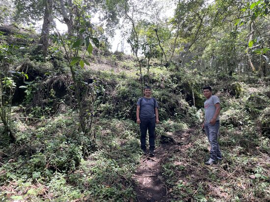 Der Zugang zum Grundstück ist bereits frei gemacht