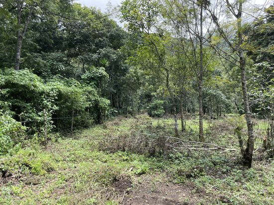 Ein Teil des neuen Grundstücks