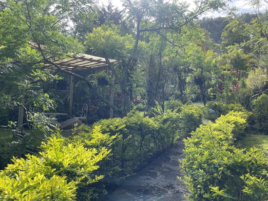 Der Garten meines Hotels ist etwas verwildert