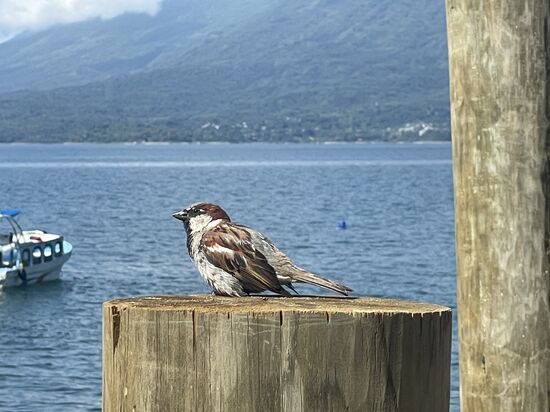 kam mir grad nichts exotischeres vor die Kamera...