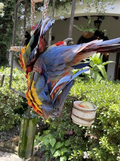 Er übt grad den Überschlag