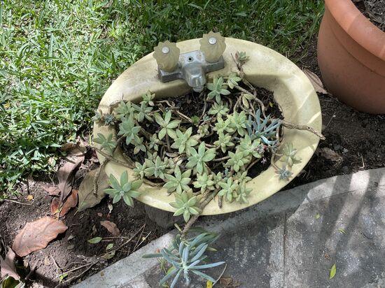 es gibt da ein paar skurile Blumengefässe