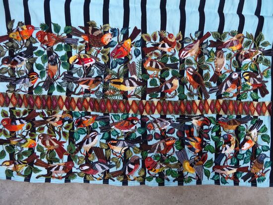 die typischen kurzen Männer-Hosen von Santiago sind voller Vögel