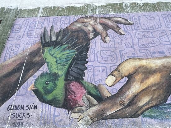 ein junger Quetzal, der in die Freiheit entlassen wird. Entdeckt an der Aussenmauer der grossen Schule.