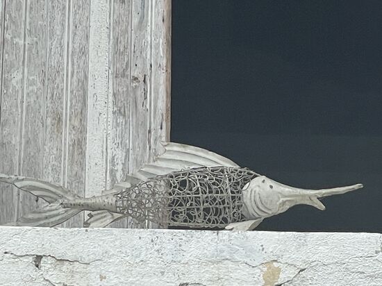 Die dekorativen Fische habe ich in den Fenstern der Pizzeria gefunden.