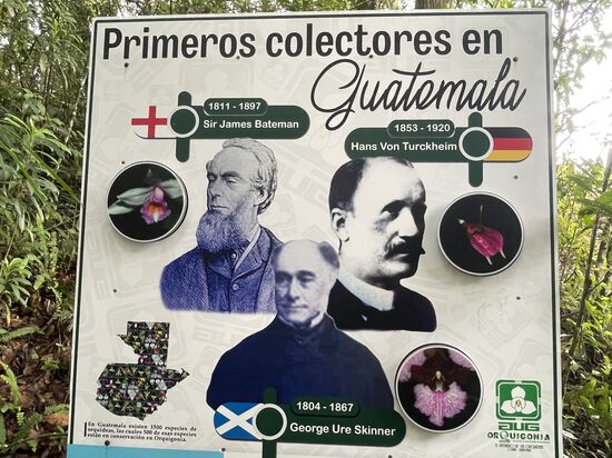 Die ersten Orchideensammler waren Ausländer: ein Brite, ein Deutscher udn ein Schotte