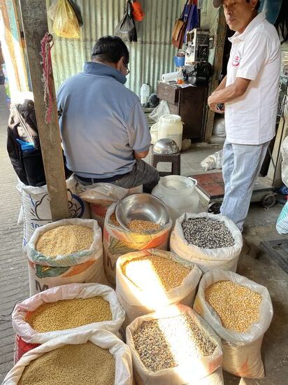 Bohnen sind Grundnahrungsmittel