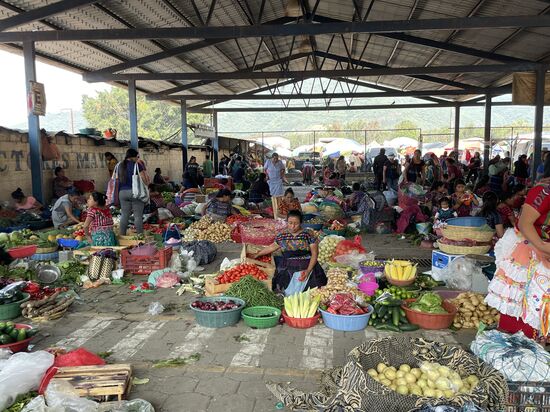 Die Direktanbieterinnen sind in der grossen Halle