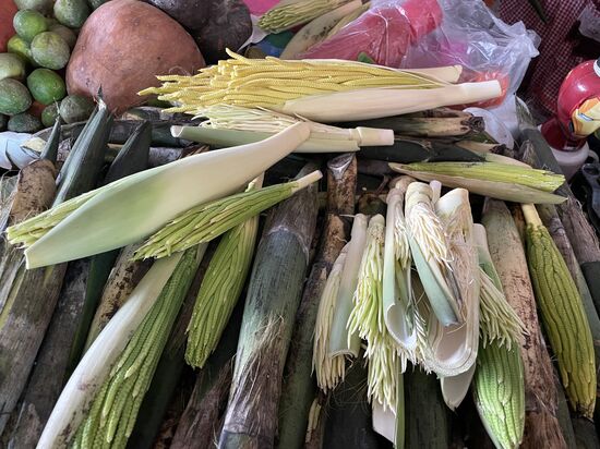 Palmblüten - zum Kochen