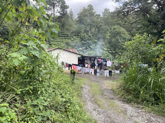 Die Häuser der Arbeiterfamilien