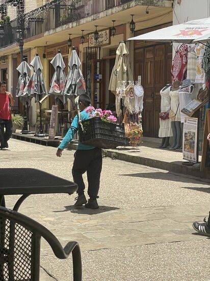 Der kleine Junge verkauft Geranien