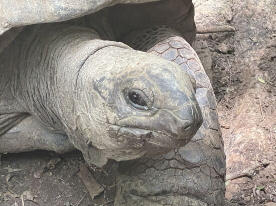 Bestimmt schon über 100 Jahre alt.