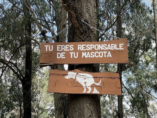 Du bist verantwortlich für deinen Freund