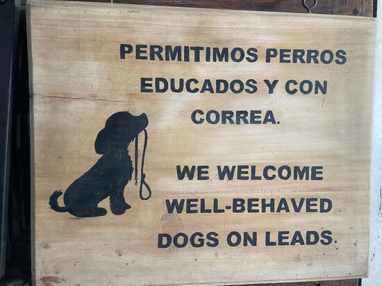 Wir begrüssen Hunde, die sich gut benehmen