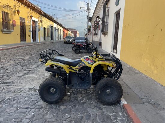 Die Scooter sind ein neues Angebot in der Stadt