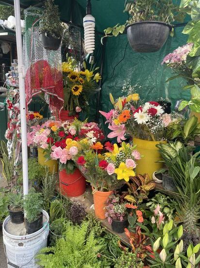 Blumenstand in der Nähe meines Hotels.