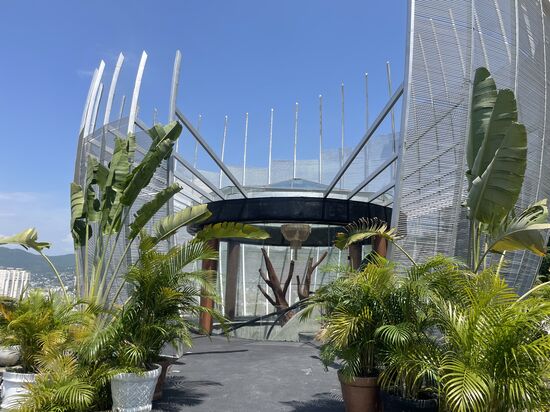 Der Eingang zu einer Disco