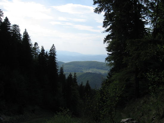 Aus den Bergen in Poiana Braosv