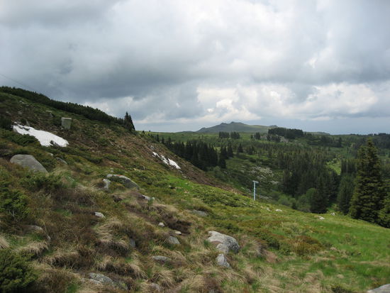 Der Berg im Vitosha Nationalpark
