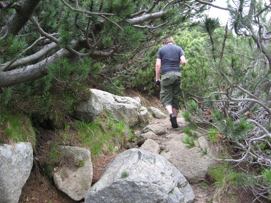 Es war manchmal ein steiniger Weg