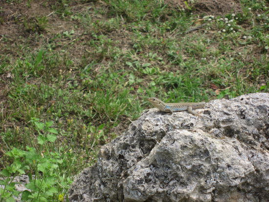 Hoppla, was ist das denn...